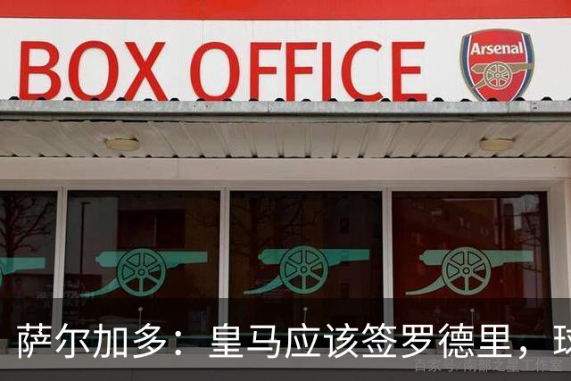 萨尔加多：皇马应该签罗德里，球队必须以西班牙球员为基础