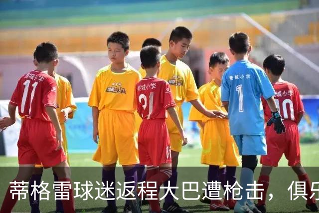 蒂格雷球迷返程大巴遭枪击，俱乐部：坚决反对任何形式的暴力